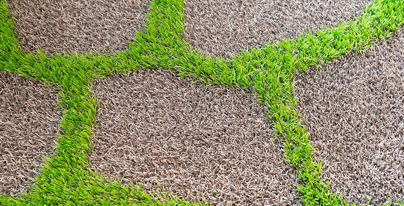 Yangzhou Canyoo Grass Carpet Co., Ltd.
