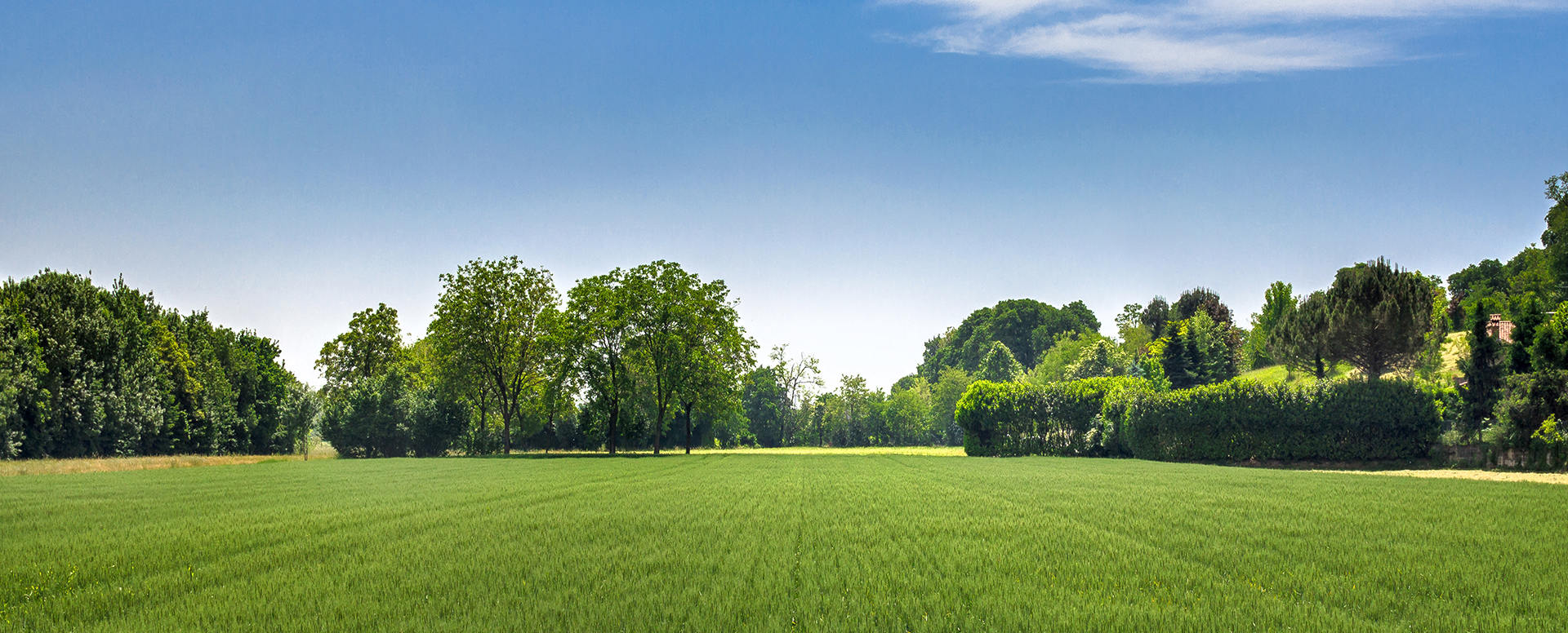 Yangzhou Canyoo Grass Carpet Co., Ltd.
